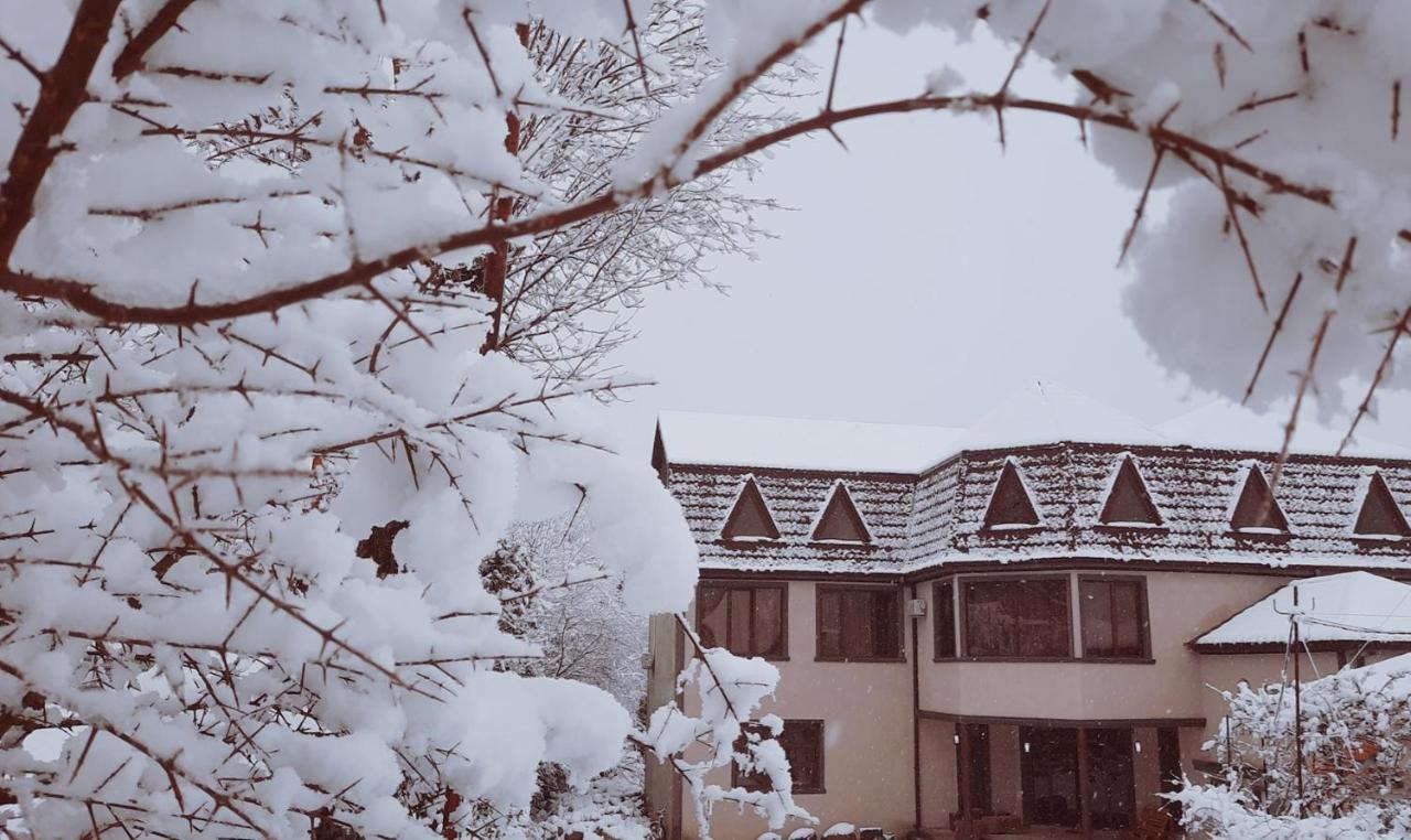 Inaisi Hotel Kutaisi Eksteriør bilde